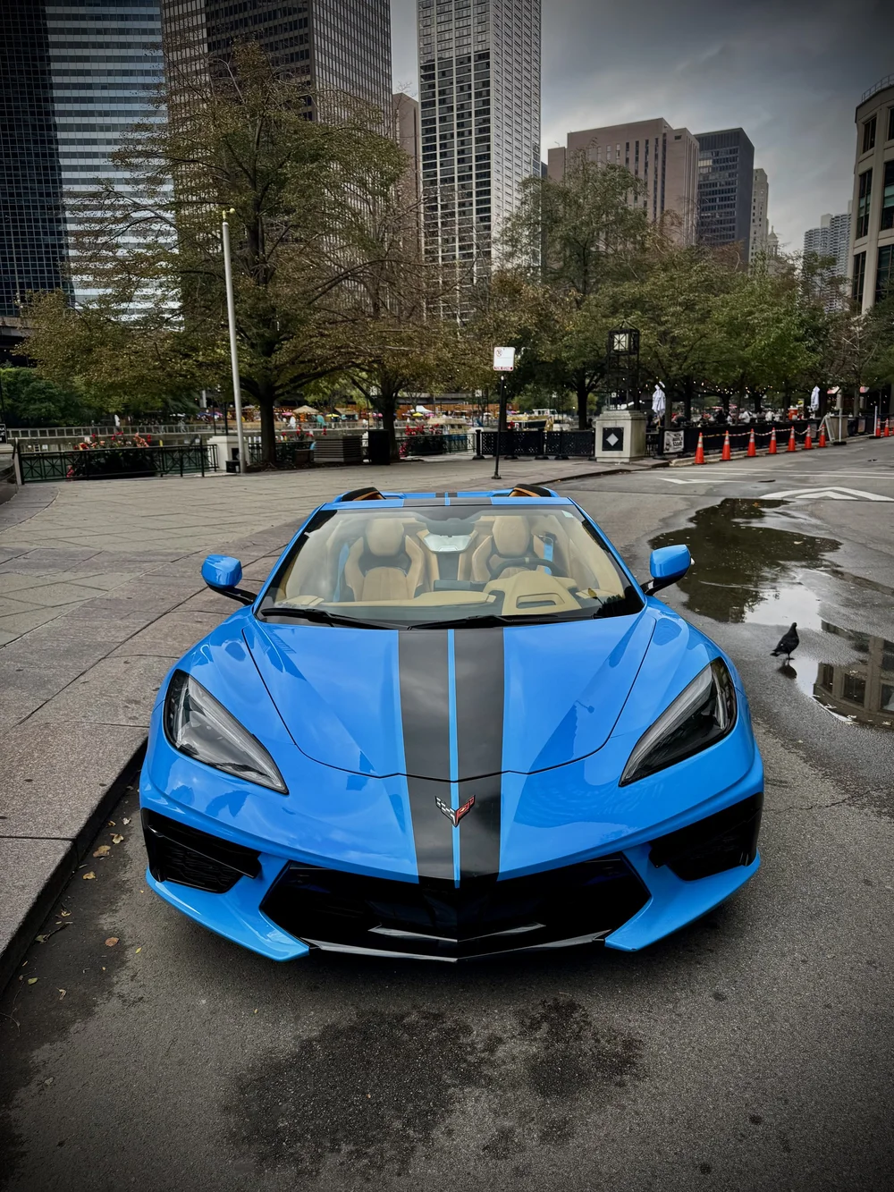 P each-on　ブルーカーペット56p Used 2021 Chevrolet Corvette Stingray Convertible For Sale (Sold
